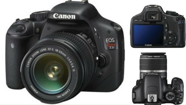 Лера Бойко фото №31