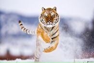 Владіслав Мазниця фотография #20 (источник - https://vk.com/id81158508)
