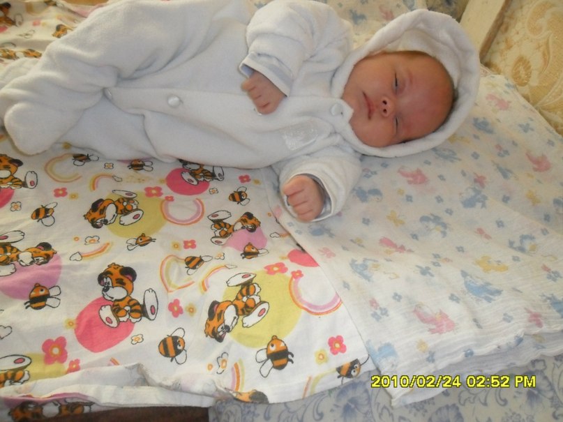 Дмитрий Торбеев фотография #18