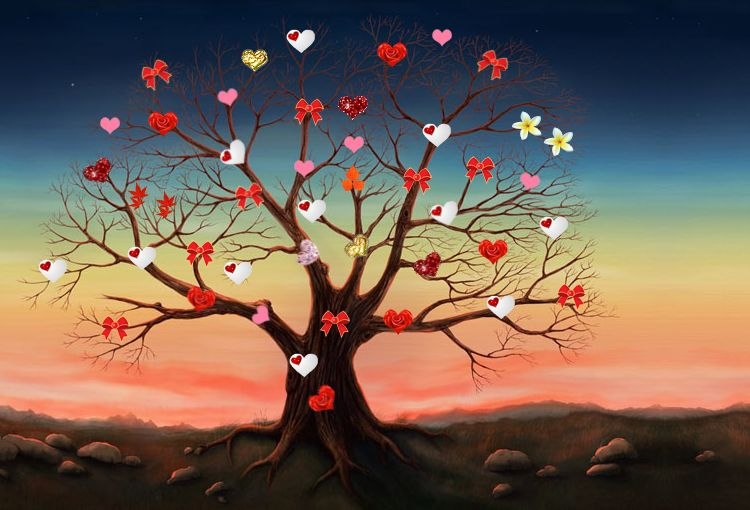 Элис Каленн фотография #4