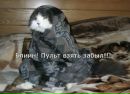 Ірина Федоренко фотография #20 (источник - https://vk.com/id137645039)