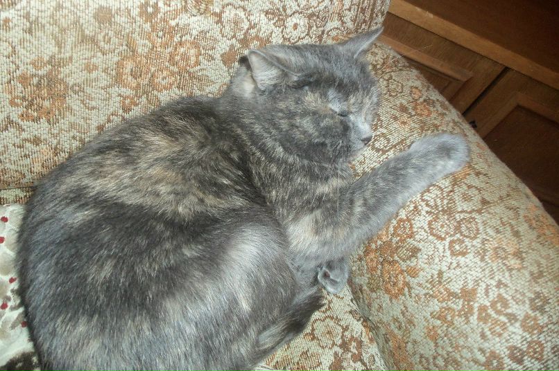 Туся Васисуальевна фотография #3