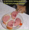 Еля Мусіхіна фотография #28 (источник - https://vk.com/id144890361)