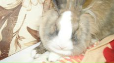 Фотография Nikolskaya Nadia