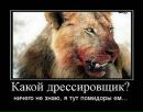 Міша Пасевич фотография #27 (источник - https://vk.com/id104579286)