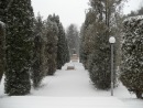 Оля Славінська фотография #24 (источник - https://vk.com/id131841084)