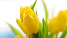 Фотография Дегтярёв Валерий