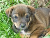 Іра Тітова фотография #3 (источник - https://vk.com/id133487070)