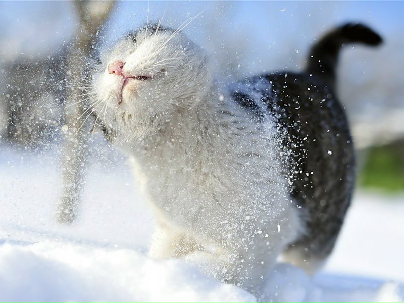 Ksusha Shevchenko фото №37