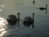 Мар'яна Дмитрів фотография #44 (источник - https://vk.com/id23412687)