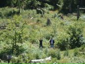 Віктор Терен фотография #44 (источник - https://vk.com/id22665298)