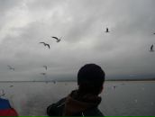 Фотография Седова Дмитрия