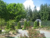 Ірина Грабовська фотография #26 (источник - https://vk.com/id24961302)