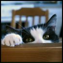 Фотография Мауриной Екатерины