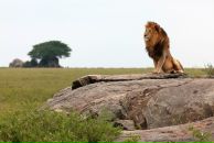 Фотография Зиновьевой Ирины