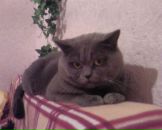 Фотография Понкратовой Лилии