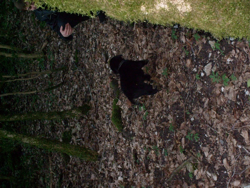 Дмитрий Белый фотография #22