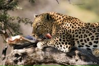 Фотография Чирковой Ирины