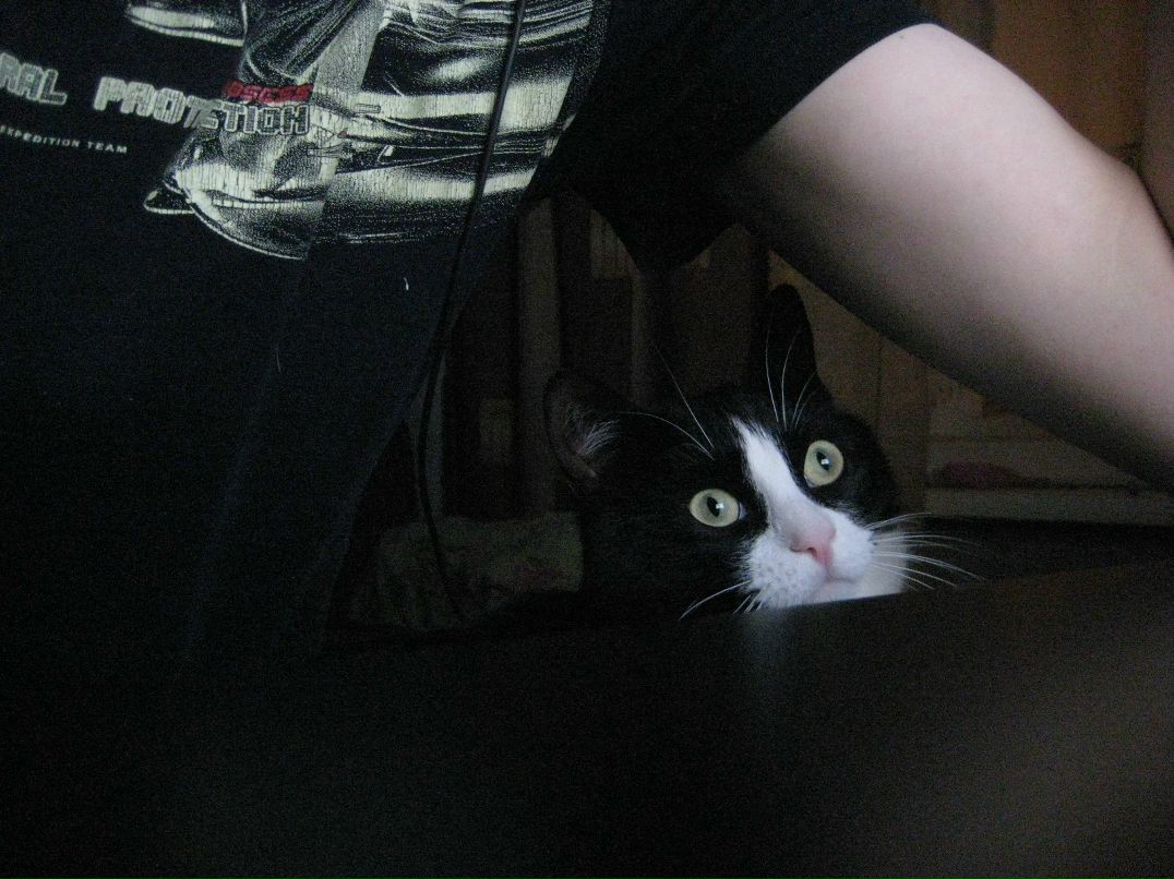 Дмитрий Гавриленков фотография #4