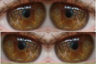 Андрей Олейник фотография #19 (источник - https://vk.com/id30549157)