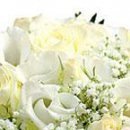 Лілія Левко фотография #45 (источник - https://vk.com/id144368814)