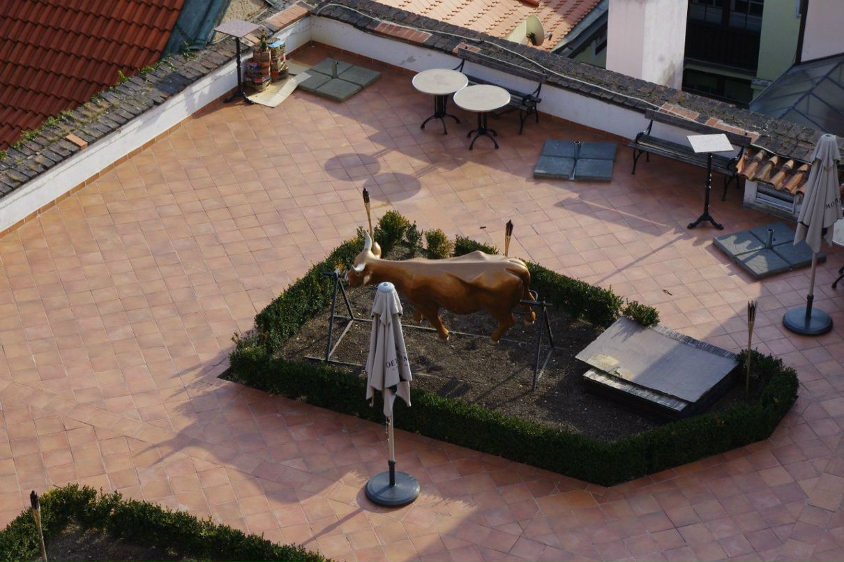 Дмитрий Дежуров фотография #1