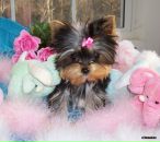 Фотография Созоновой Маши