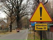Віталій Вуйчич фотография #26 (источник - https://vk.com/id26430208)