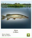 Платон Білинський фотография #7 (источник - https://vk.com/id136798686)