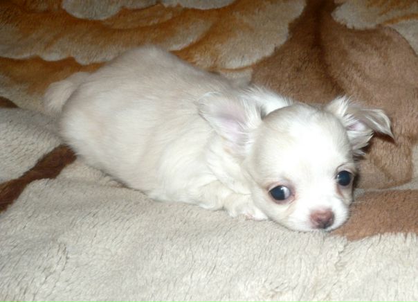 Иван Дудулин фото №1