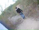 Сергій Кахно фотография #29 (источник - https://vk.com/id39551793)