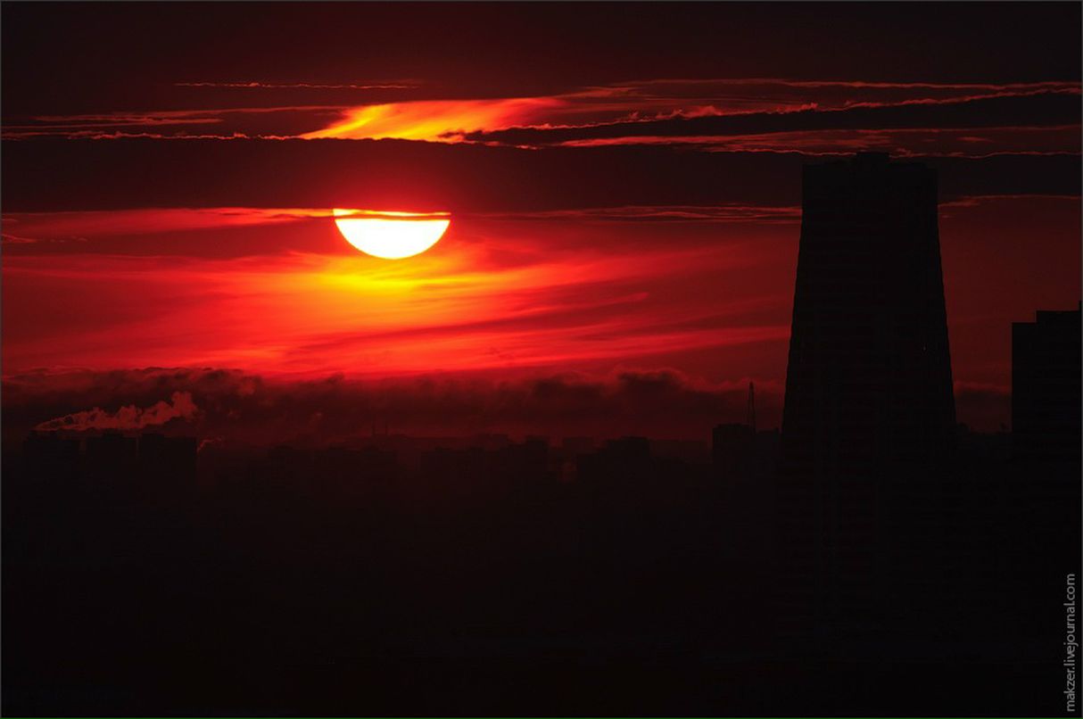 Александр Майер фотография #39