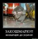 Фотография Писарчука Евгения