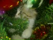 Фотография Рублёва Андрея