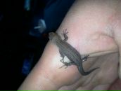 Фотография Николаева Александра