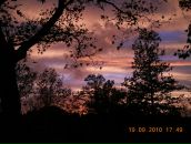 Фотография Мышкиной Ксении