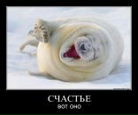 Фотография Игнатова Константина