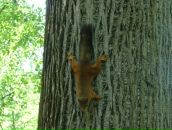 Фотография Барлетовой Натальи