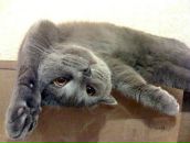 Еріс Волчиц фотография #10 (источник - https://vk.com/id86335377)