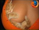 Vankaa C(= фотография #12 (источник - https://vk.com/id102459239)