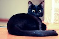 Фотография Мещеряковой Натальи