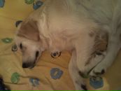 Ирина Череповская фотография #26 (источник - https://vk.com/id2193058)