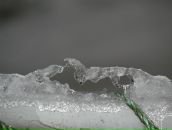 Мирослав Збірко фотография #33 (источник - https://vk.com/id87492158)