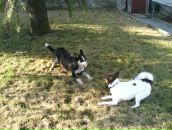 Вероніка Попозогло фотография #18 (источник - https://vk.com/id74244264)