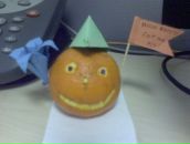 Фотография Музыченко Екатерины