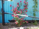 Інна Дiямiнова фотография #13 (источник - https://vk.com/id133464070)