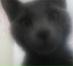 Фотография Винокурова Игоря