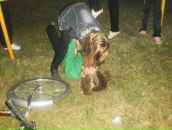 Вероніка Трикіша фотография #20 (источник - https://vk.com/id101436997)