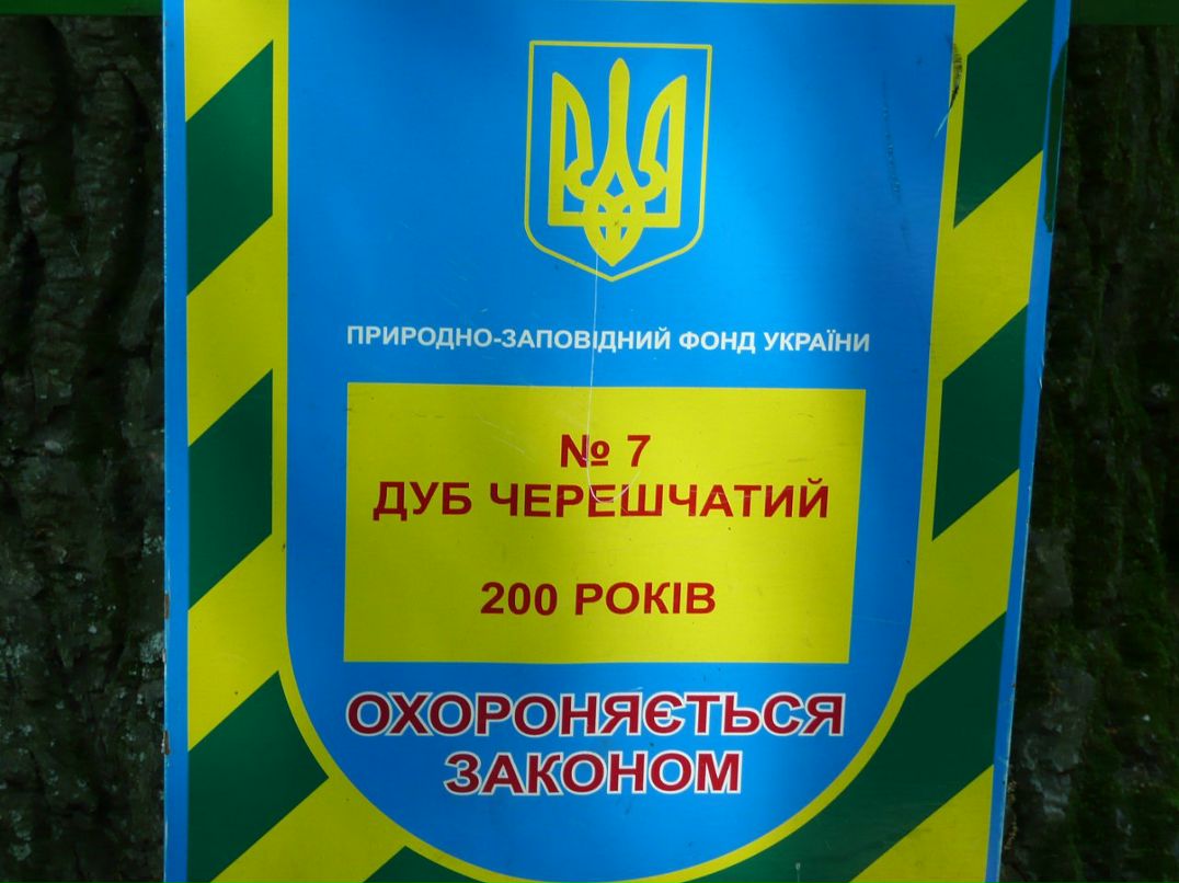 Виктор Нехаенко фотография #32