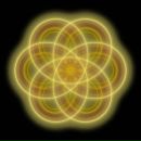 Фотография Rubanska Victory